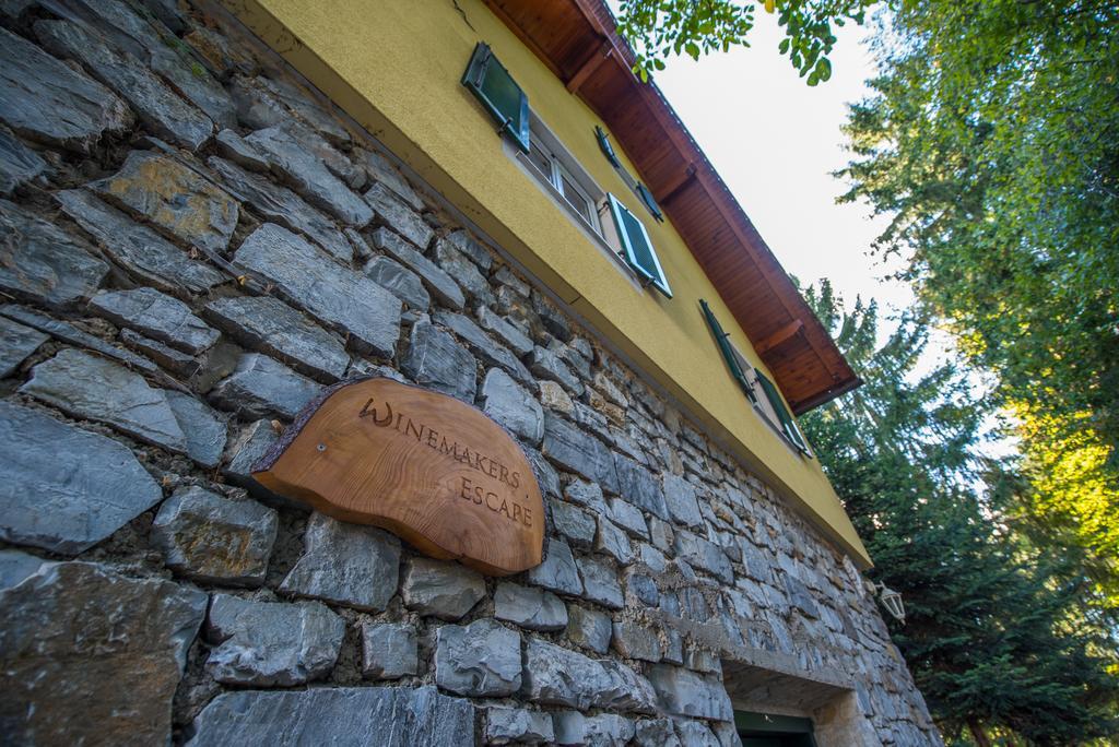 Winemakers Escape Villa Gleisdorf Luaran gambar
